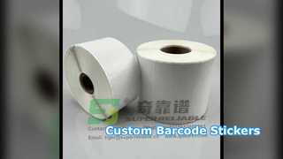 Bekijk: DT Direct Thermal Adhesive Thermische Sticker Barcodesticker Showcase op maat